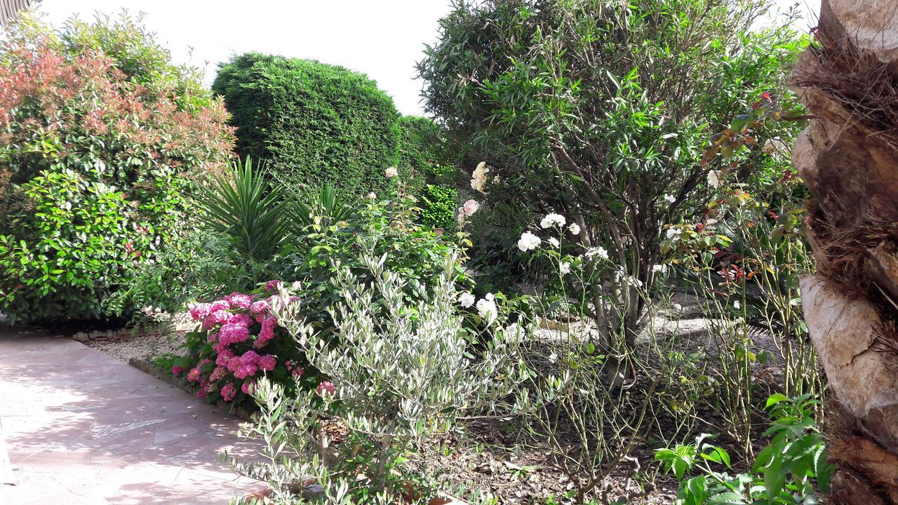 Villa Angel - Spa Caunes-Minervois ภายนอก รูปภาพ