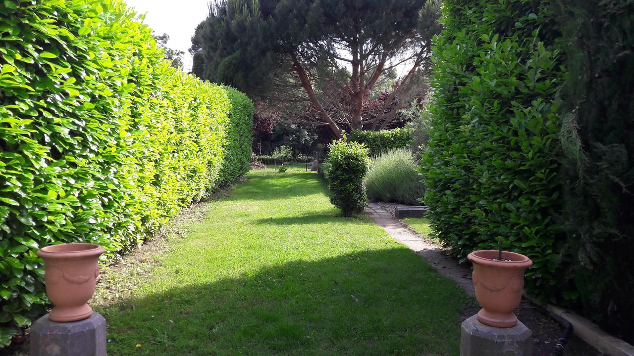 Villa Angel - Spa Caunes-Minervois ภายนอก รูปภาพ