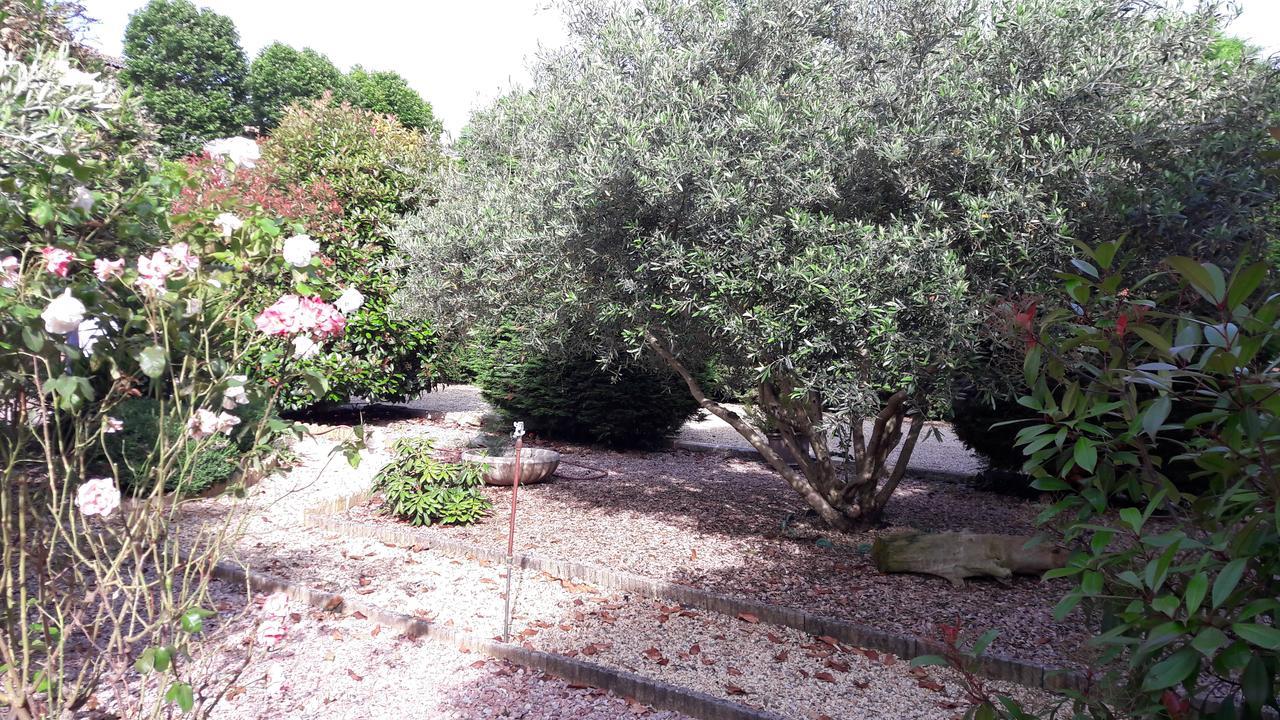 Villa Angel - Spa Caunes-Minervois ภายนอก รูปภาพ